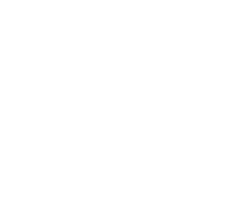 Ex Forti